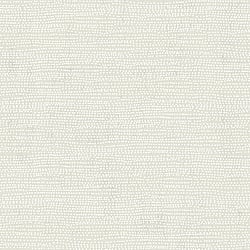 Galerie Wallcoverings Product Code 12009 - Design Wallpaper Collection - Off White White Colours - Dots Design