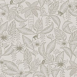 Galerie Wallcoverings Product Code 12702 - Ted Baker Fantasia Wallpaper Collection - Cream Green Colours - Monflo Design