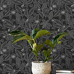 Galerie Wallcoverings Product Code 12705 - Ted Baker Fantasia Wallpaper Collection - Black Silver Colours - Monflo Design