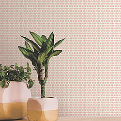 Galerie Wallcoverings Product Code 12706 - Ted Baker Fantasia Wallpaper Collection - Cream Pink Colours - Mano Design