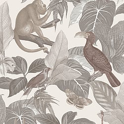 Galerie Wallcoverings Product Code 18501 - Into The Wild Wallpaper Collection - Greige Colours - Tropical Life Design