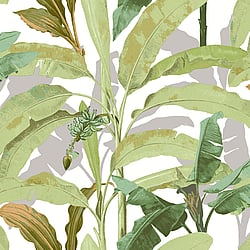 Galerie Wallcoverings Product Code 18541 - Into The Wild Wallpaper Collection - Green Colours - Banana Tree Design