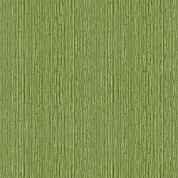 Galerie Wallcoverings Product Code 18575 - Into The Wild Wallpaper Collection - Green Colours - Bamboo Design