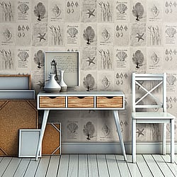 Galerie Wallcoverings Product Code 21021 - Skagen Wallpaper Collection - Beige Dark Grey Colours - Shells Design