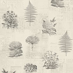 Galerie Wallcoverings Product Code 218122 - Botanik Wallpaper Collection -   