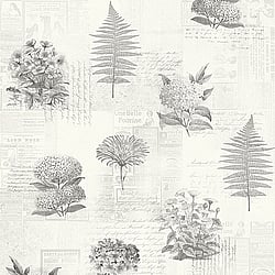 Galerie Wallcoverings Product Code 218123 - Botanik Wallpaper Collection -   