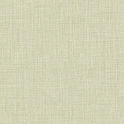 Galerie Wallcoverings Product Code 22085 - Italian Textures 2 Wallpaper Collection - Green Colours - Woven Texture Design