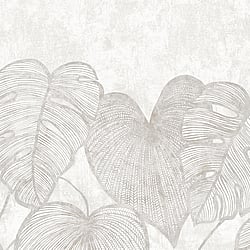 Galerie Wallcoverings Product Code 26979 - Julie Feels Home Wallpaper Collection -  Monstera Twinwall Design