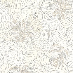 Galerie Wallcoverings Product Code 30431 - Essentials Wallpaper Collection - Cream Beige Colours - Monstera Botanical Print Design