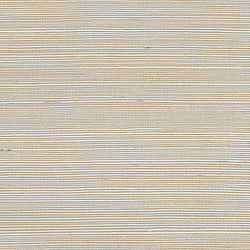 Galerie Wallcoverings Product Code 488-444 - Grasscloth 2 Wallpaper Collection -  Sisal Design