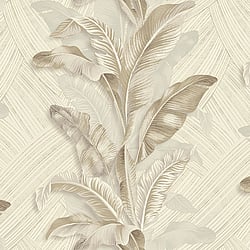 Galerie Wallcoverings Product Code 49300 - Stratum Wallpaper Collection - cream beige Colours - Palma Design