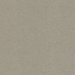 Galerie Wallcoverings Product Code 51125317 - Serenity Wallpaper Collection -   