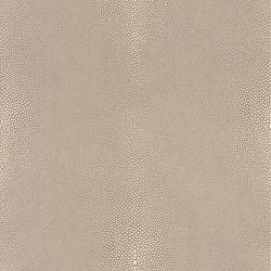 Galerie Wallcoverings Product Code 51157907 - Serenity Wallpaper Collection -   