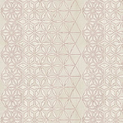 Galerie Wallcoverings Product Code 58108 - Geo Wallpaper Collection - Pink Pearl Cream Colours - Geo Floral Stripe Design