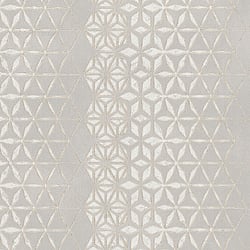 Galerie Wallcoverings Product Code 58109 - Geo Wallpaper Collection - Grey White Beige Gold Colours - Geo Floral Stripe Design