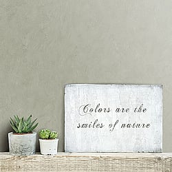 Galerie Wallcoverings Product Code 61005 - Kalk Wallpaper Collection - Light Green Colours - Chalk Texture Design