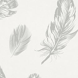 Galerie Wallcoverings Product Code 6767-20 - Imagine Wallpaper Collection - White Grey Colours - Feather Motif Design