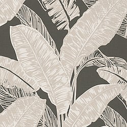 Galerie Wallcoverings Product Code 6769-50 - Imagine Wallpaper Collection - Brown Beige Colours - Tropical Leaf Print Design