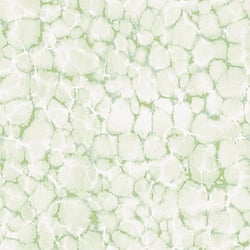 Galerie Wallcoverings Product Code 7316 - Evergreen Wallpaper Collection - Green Mica Colours - Reflections Design
