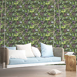 Galerie Wallcoverings Product Code 7322 - Evergreen Wallpaper Collection - Multicolor Colours - Succulents Design