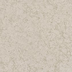 Galerie Wallcoverings Product Code 99111 - Earth Wallpaper Collection - Beige Colours - Igneous Design