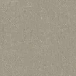 Galerie Wallcoverings Product Code 99143 - Earth Wallpaper Collection - Greige, Grey Colours - Scored Design