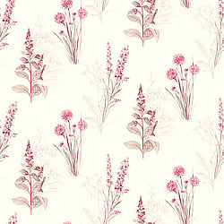 Galerie Wallcoverings Product Code AB42441 - Abby Rose 3 Wallpaper Collection -   
