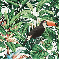 Galerie Wallcoverings Product Code AM30001 - Amazonia Wallpaper Collection - Green Colours - Tropical Birds Design