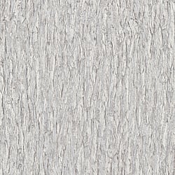 Galerie Wallcoverings Product Code AM30011 - Amazonia Wallpaper Collection - Greige Colours - Bark Design