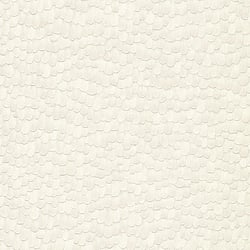 Galerie Wallcoverings Product Code AM30019 - Amazonia Wallpaper Collection - White Grey Colours - Feathers Design