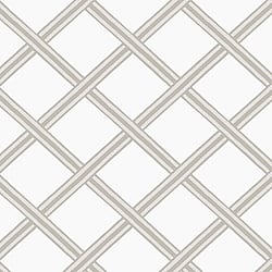 Galerie Wallcoverings Product Code BO23033 - Luxe Wallpaper Collection - White Silver Colours - Braid Design