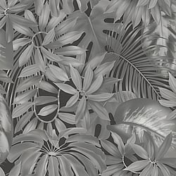 Galerie Wallcoverings Product Code BW51022 - Blooming Wild Wallpaper Collection - Black Grey Colours - Tropical Leaf Motif Design