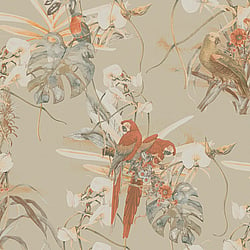 Galerie Wallcoverings Product Code BW51027 - Blooming Wild Wallpaper Collection - Orange Brown Beige Colours - Exotic Parrot Motif Design