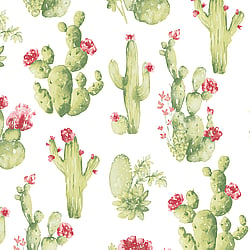 Galerie Wallcoverings Product Code CK36630 - Kitchen Style 3 Wallpaper Collection - Green Red Colours - Cactus Motif Design