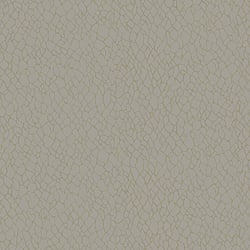 Galerie Wallcoverings Product Code DWP0232-02 - Boutique Wallpaper Collection - Beige Colours - Webbing Design