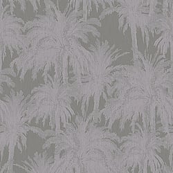 Galerie Wallcoverings Product Code ED13057 - Ted Baker Eden Wallpaper Collection - Grey Lilac Colours - Treetops Design