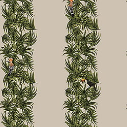 Galerie Wallcoverings Product Code ED13136 - Ted Baker Eden Wallpaper Collection - Taupe Green Orange Black Colours - Compala Design
