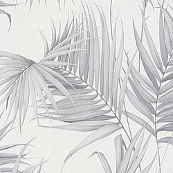 Galerie Wallcoverings Product Code ES31135 - Escape Wallpaper Collection - Light Grey, Dark Grey Colours - Palm Leaves Design