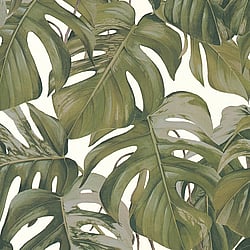 Galerie Wallcoverings Product Code ES31145 - Escape Wallpaper Collection - White, Brown, Green Colours - Leaf Trail Design