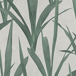 Galerie Wallcoverings Product Code EX31016 - Exposed Wallpaper Collection - Green Grey Colours - Tropical Leaf Design