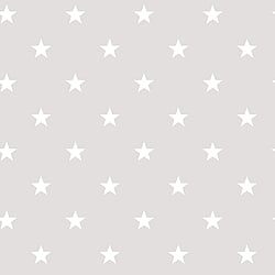Galerie Wallcoverings Product Code G23109 - Deauville Wallpaper Collection - Grey Beige White Colours - Deauville Star Design