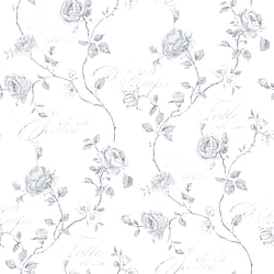 Galerie Wallcoverings Product Code G45328 - Vintage Roses Wallpaper Collection - Grey Colours - Trailing Rose Design