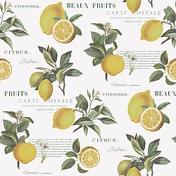Galerie Wallcoverings Product Code G45409 - Just Kitchens Wallpaper Collection - Yellow Green White Colours - Citron Botanical Design