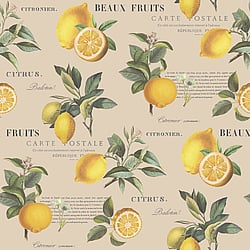 Galerie Wallcoverings Product Code G45410 - Just Kitchens Wallpaper Collection - Taupe Colours - Citron Botanical Design