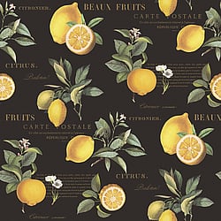 Galerie Wallcoverings Product Code G45411 - Just Kitchens Wallpaper Collection - Black Yellow Colours - Citron Botanical Design