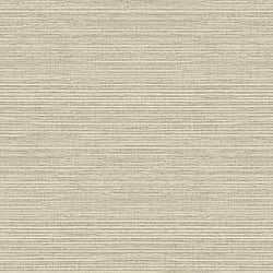 Galerie Wallcoverings Product Code G45419 - Natural Fx 2 Wallpaper Collection - Beige Colours - Grasscloth Design