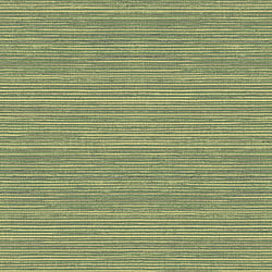 Galerie Wallcoverings Product Code G45422 - Just Kitchens Wallpaper Collection - Green Colours - Grasscloth Design