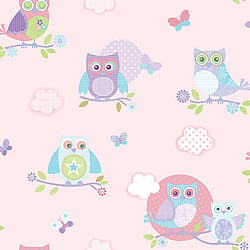 Galerie Wallcoverings Product Code G56036 - Just 4 Kids 2 Wallpaper Collection - Pink Blue Purple Green Colours - Colourful Owls Design