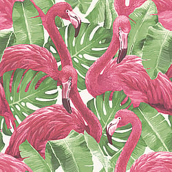 Galerie Wallcoverings Product Code G56406 - Global Fusion Wallpaper Collection -  Flamingos Design