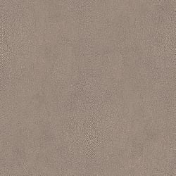 Galerie Wallcoverings Product Code G67467 - Natural Fx Wallpaper Collection -  Stingray Design